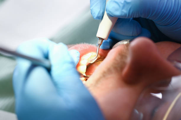Best Emergency Orthodontic Repairs in Trumansburg, NY