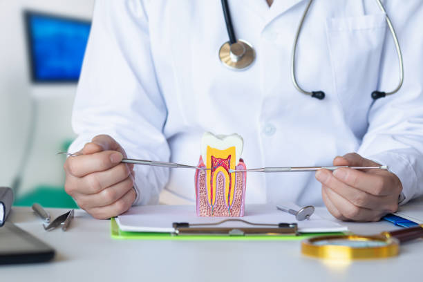 Best Emergency Orthodontic Repairs in Trumansburg, NY